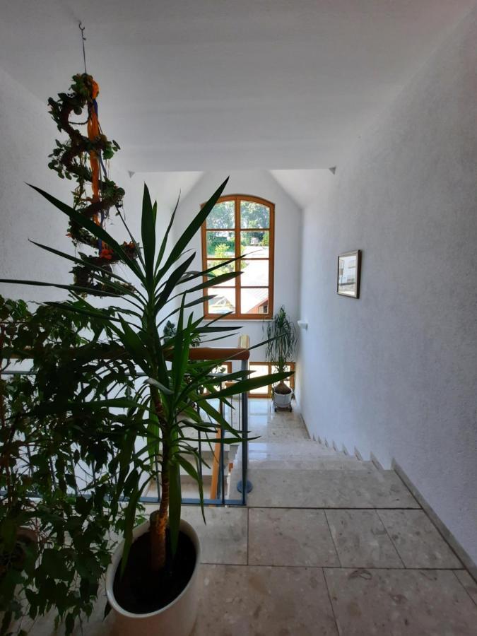 Gasthof Zahler Rofingen Dış mekan fotoğraf